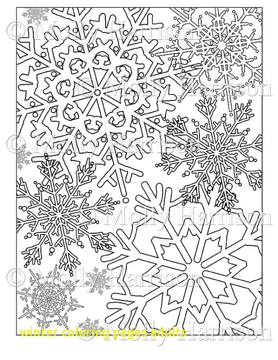 570x738 Winter Coloring Pages Adults With Items Similar To Snowflake