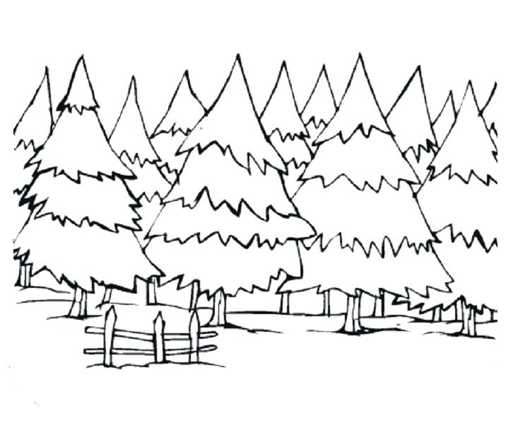 733x595 Winter Landscape Colouring Pages Landscapes Coloring Sheets Google
