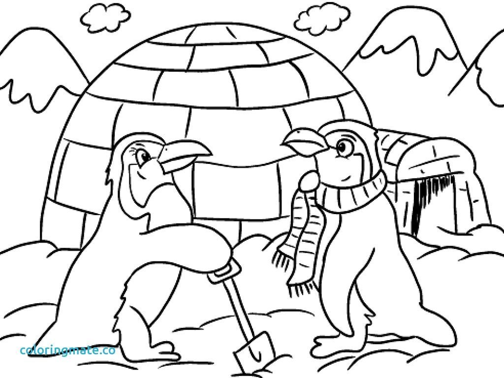 1024x768 Winter Penguin Coloring Pages