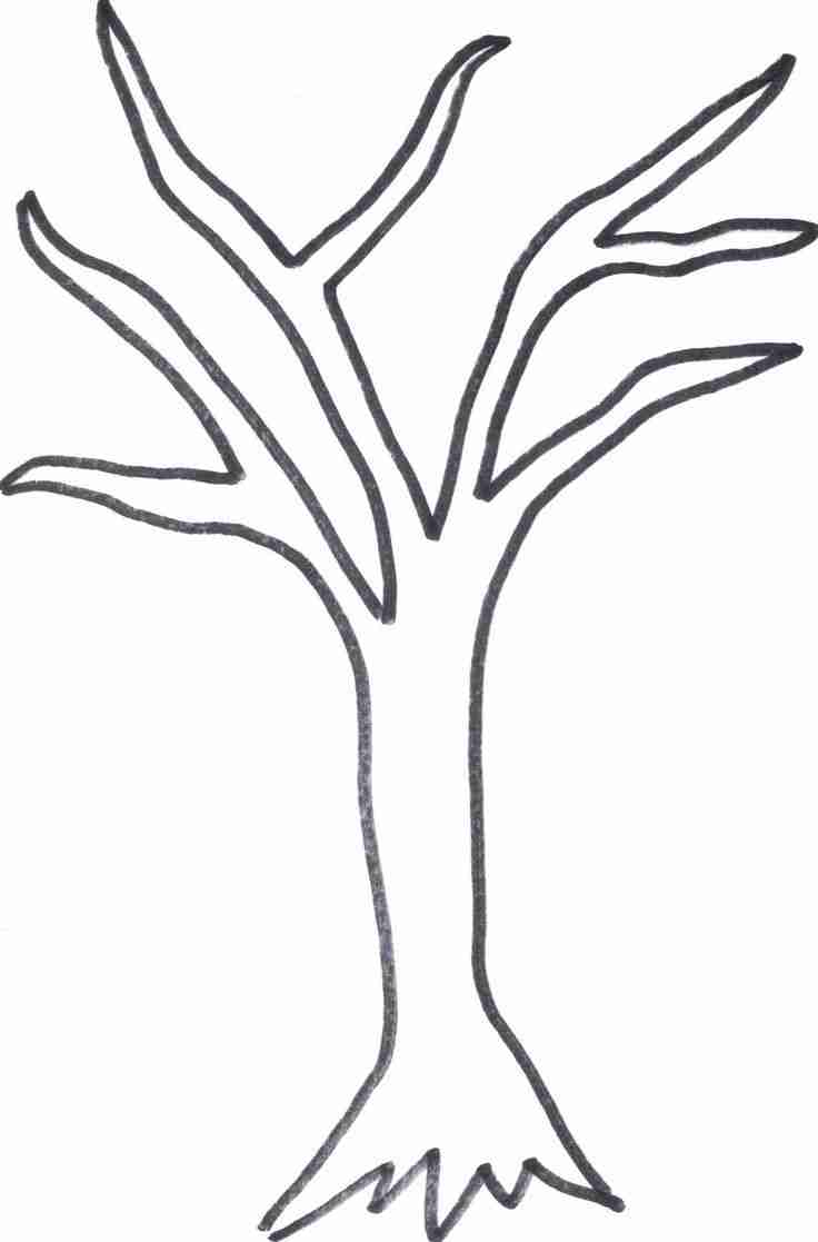 736x1117 Cool Winter Tree Coloring Page Awesome Ideas 5697 Without Leaves