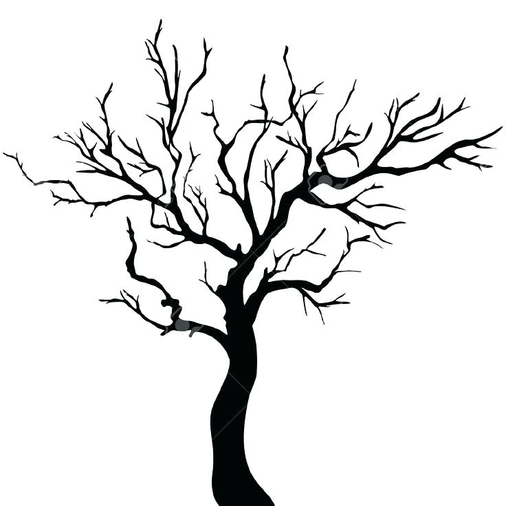 736x736 Outline Tree Winter Tree Outline Printable