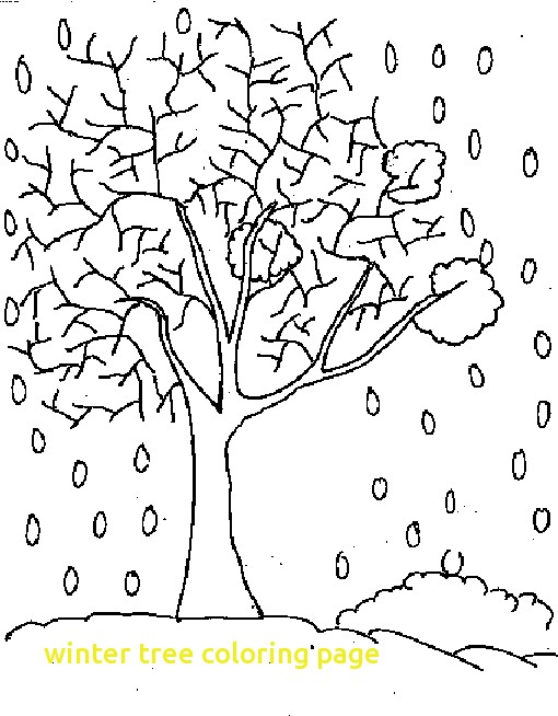 510x654 Winter Tree Coloring Page