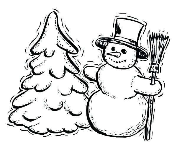 600x508 Winter Tree Coloring Page Winter Landscapes Coloring Sheets Google