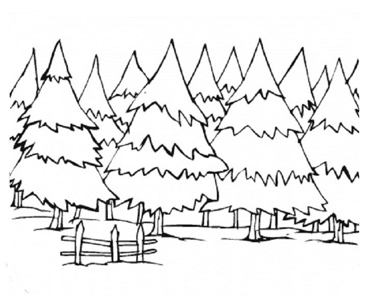733x595 Winter Landscapes Coloring Sheets