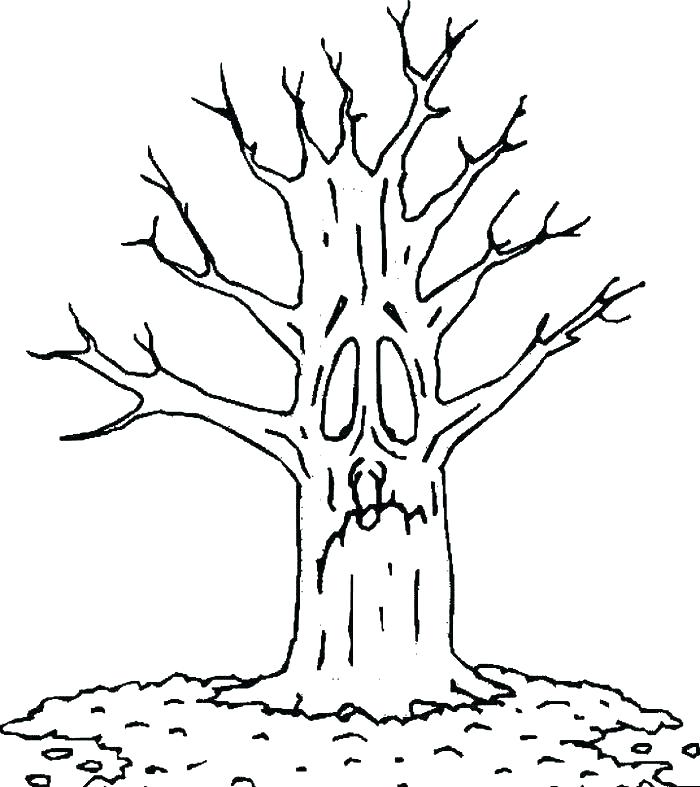 700x787 Autumn Tree Coloring Page Printable Fall Coloring Pages Autumn