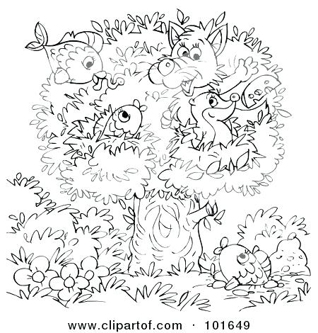 450x470 Badger Coloring Pages Honey Badger Line Drawing Wisconsin Badger