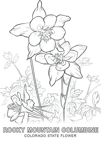 340x480 Wisconsin State Flag Coloring Page Coloring Pages For Kids Animals