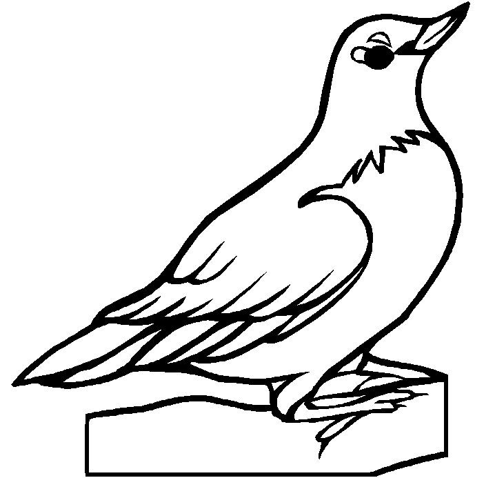 718x693 Drawn Bird Wisconsin Many Interesting Cliparts
