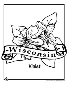 236x305 State Flower Coloring Pages Nevada State Flower Coloring Page