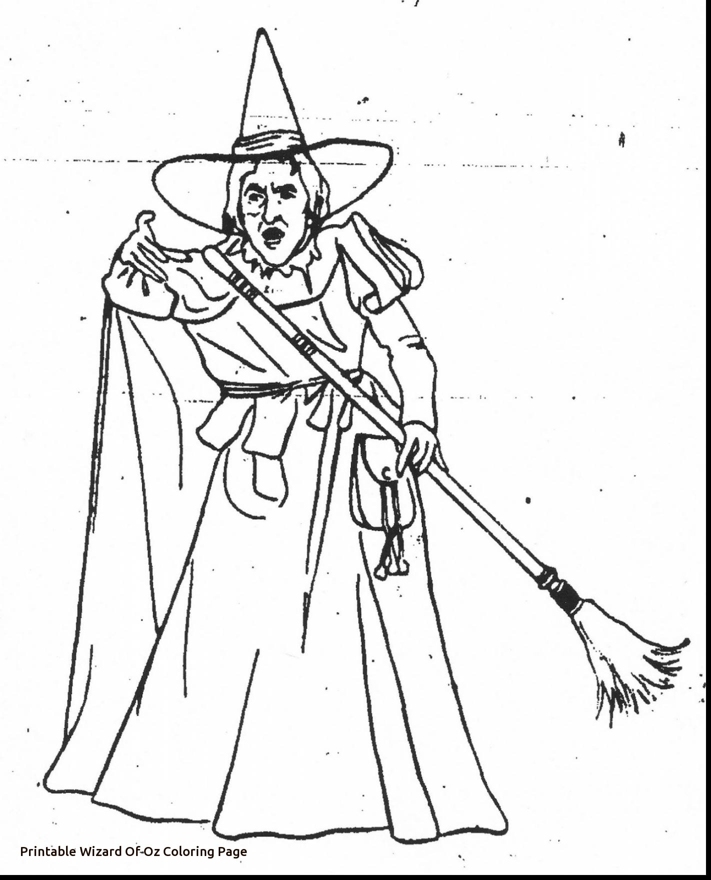 1421x1760 Amazon Com Color The Classics Wizard Of Oz A Coloring Book