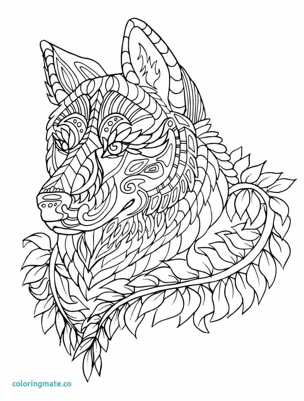 1000x1319 Wolf Coloring Page Unique Free Printable Pages For Showy Adults