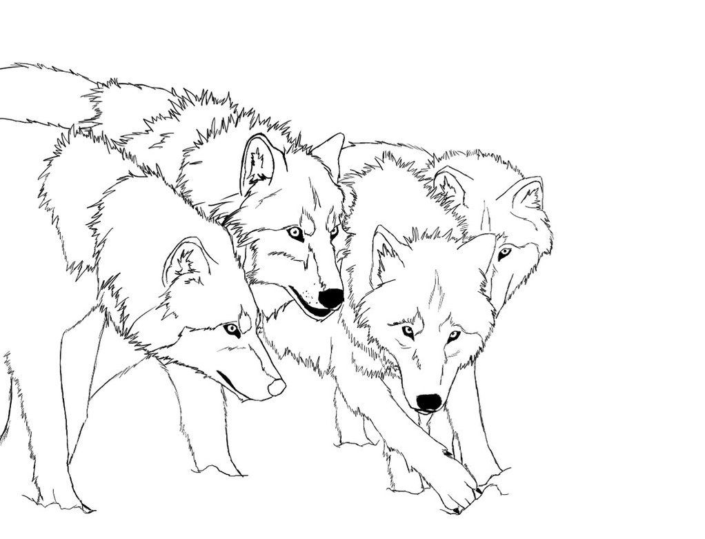 1022x781 Free Printable Wolf Coloring Pages For Kids Free Printable, Wolf