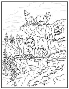 231x300 Printable Free Wolf Coloring Pages For Adults Desenhos Para Piro