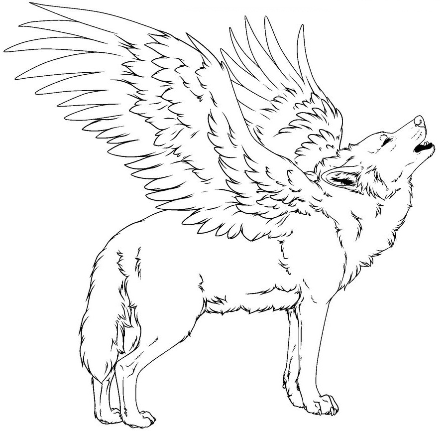900x867 Winged Wolf Coloring Pages
