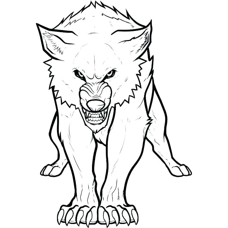 736x736 Wolves Coloring Pages Coloring Pictures Of Wolves Arctic Coloring