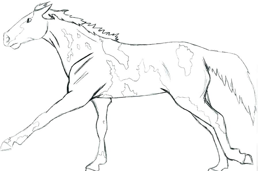 900x593 Realistic Wolf Coloring Pages New Free Wolf Coloring Pages Best