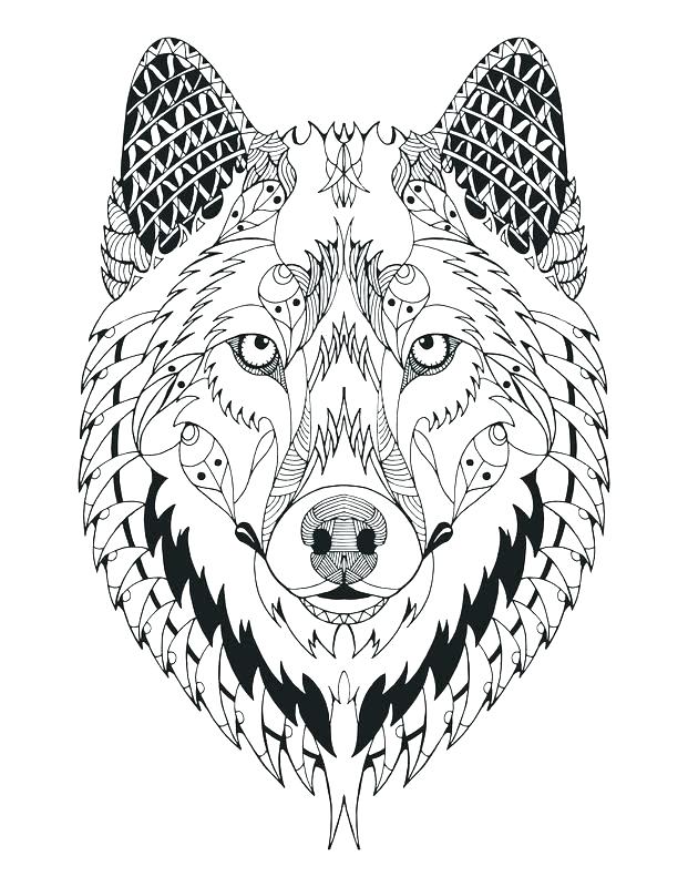 621x800 Stunning Free Wolf Coloring Pages Latest Realistic Wolf Coloring