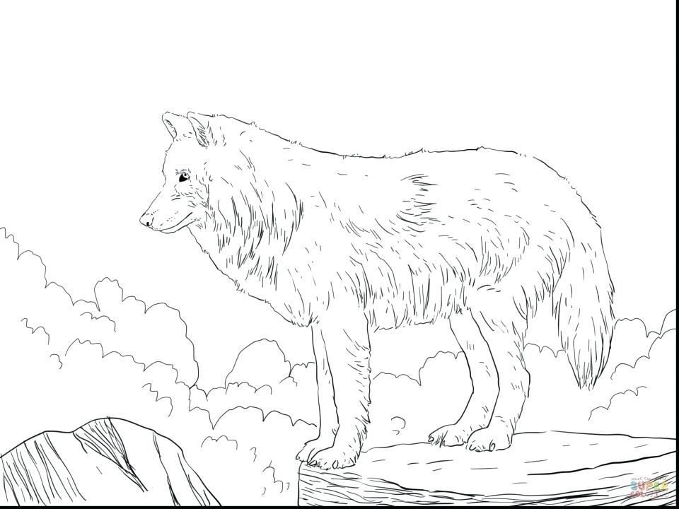 960x720 Free Printable Wolf Coloring Sheets Anime Pages Many Interesting 2