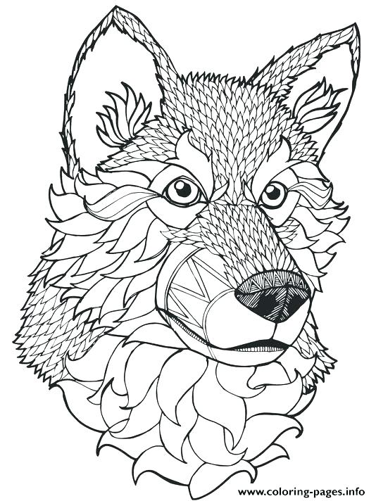 534x712 Wolf Coloring Sheets To Print Free Printable Wolf Coloring Pages