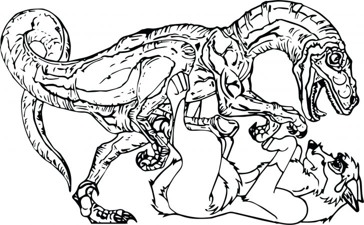 728x451 Coloring Pages Wolf Coloring Page. Wolf Coloring Pages Anime
