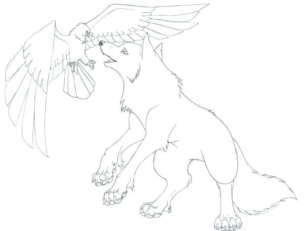 618x468 Realistic Wolf Coloring Pages Wolf Coloring Pages Printable Alone