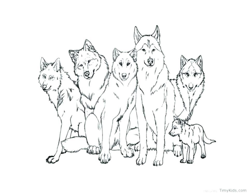 960x748 Wolf Coloring Sheets Brexitbook.club