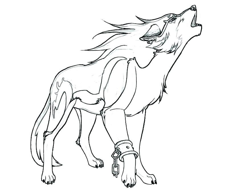 800x667 Wolf Face Coloring Page Coloring Page Wolf Face Coloring Page
