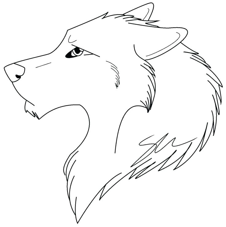 736x741 Wolf Face Coloring Pages Wolf Coloring Pages Gray Page Ba