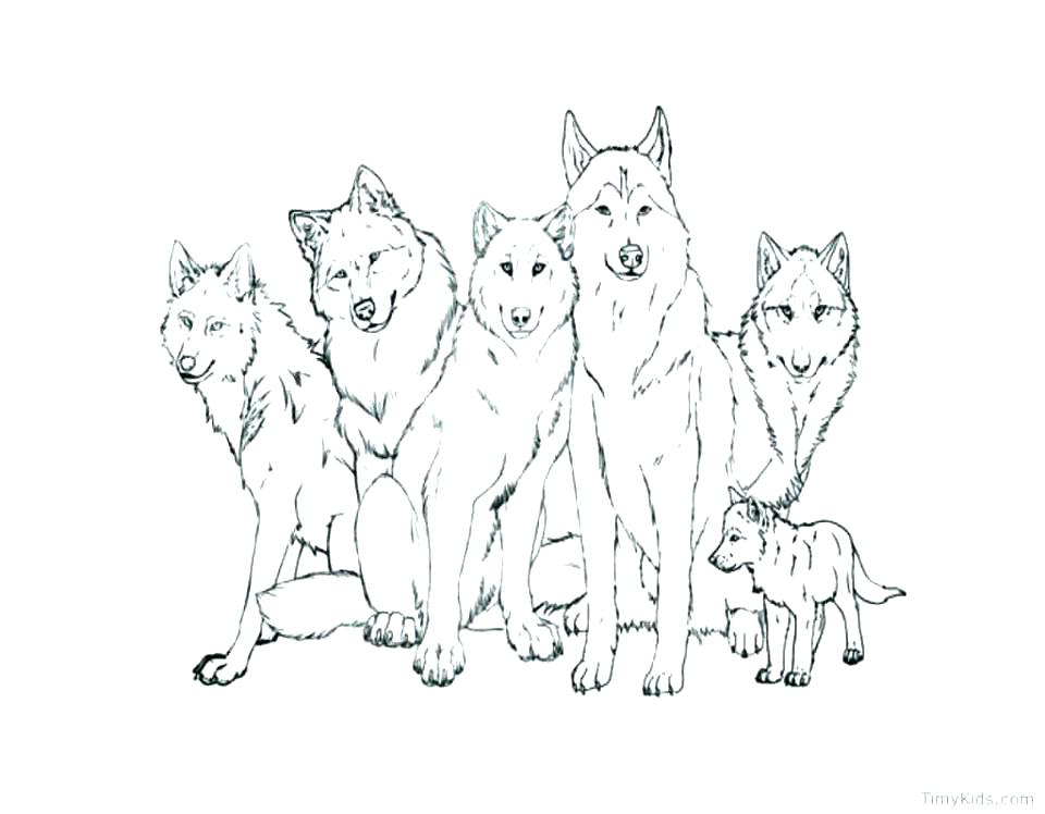 960x748 Free Printable Wolf Coloring Pages