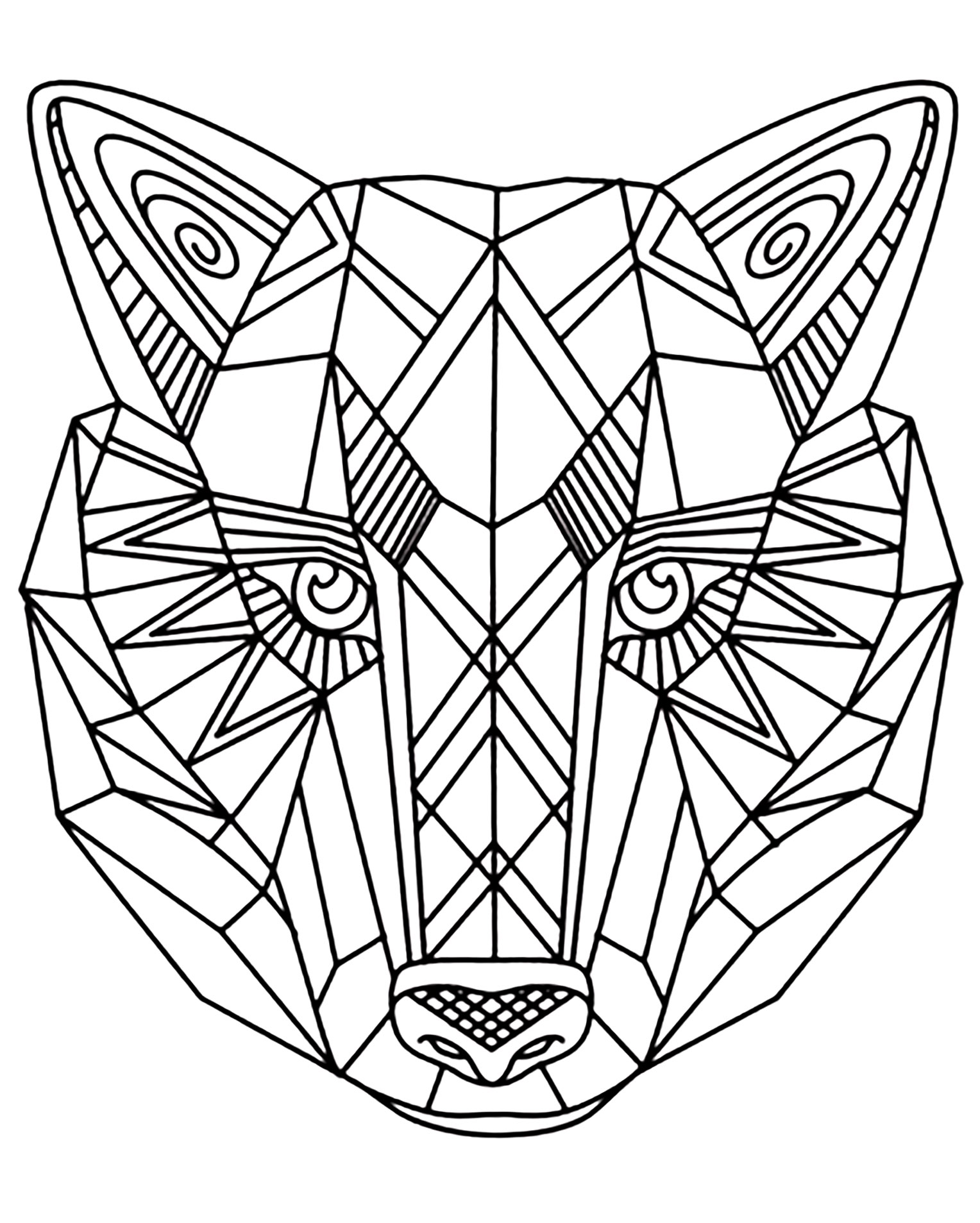 1528x1907 Wolf 1