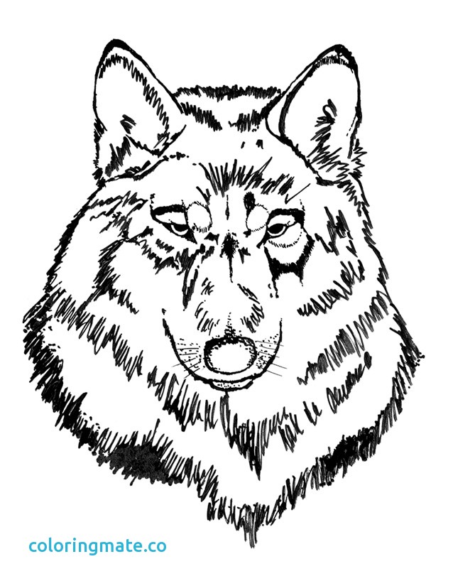 638x825 Wolf Coloring Page Unique Free Coloring Pages Wolf Head