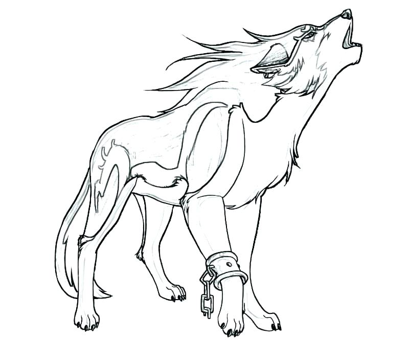 800x667 Coloring Pages Of Wolves