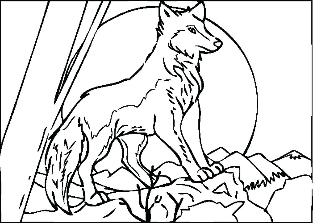 1000x713 Wolf Howling Moon Coloring Pages Color Page Anime At The Cute Baby