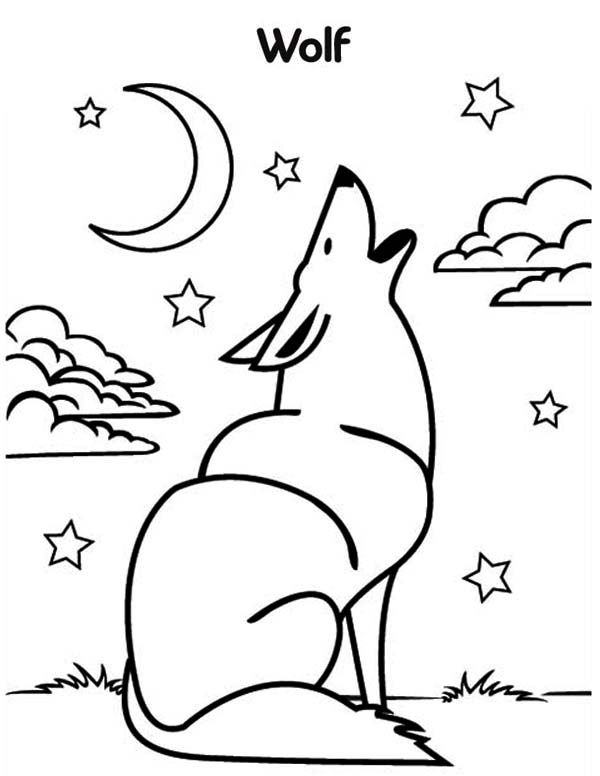 600x776 Wolf Howling