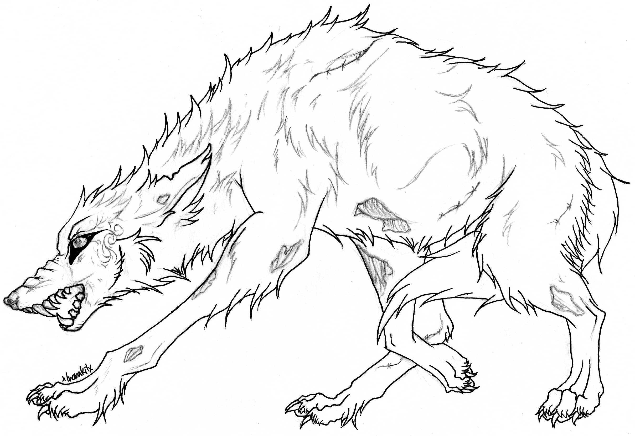2417x1662 Coloring Pages Of Wolves