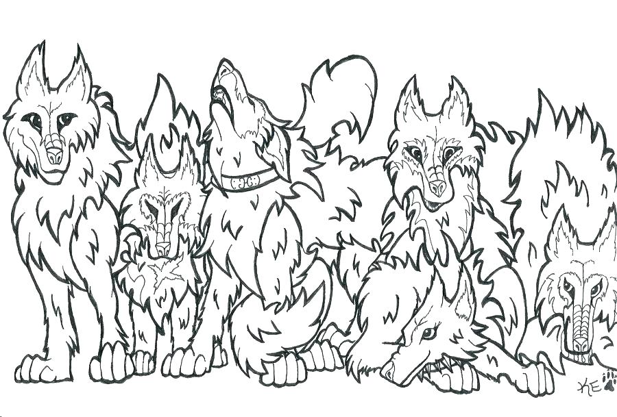 900x609 Printable Wolf Coloring Pages For Adults Coloring Wolf Cute Anime
