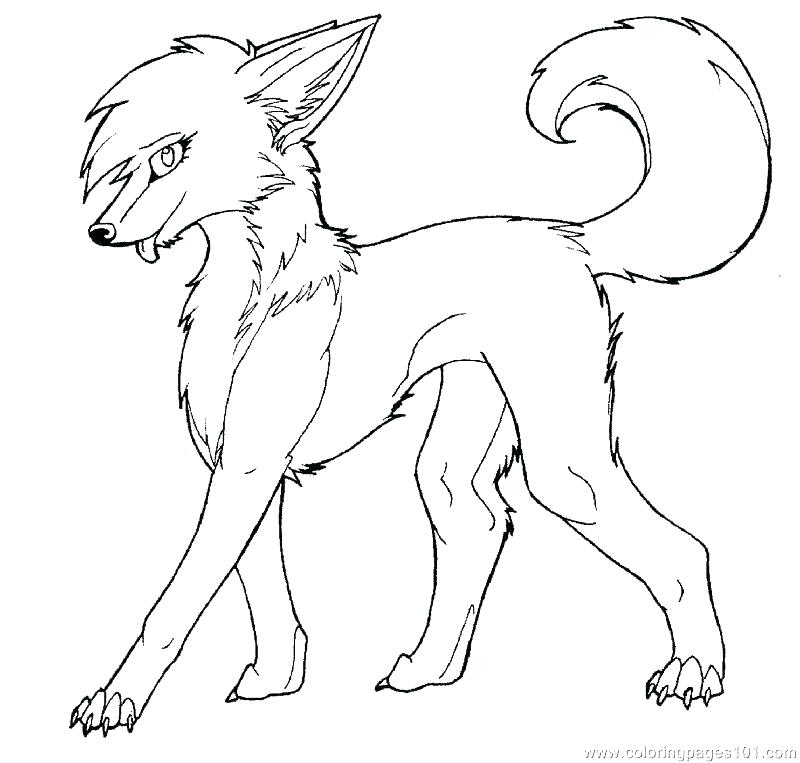 800x763 Twilight Wolf Pack Coloring Pages Anime