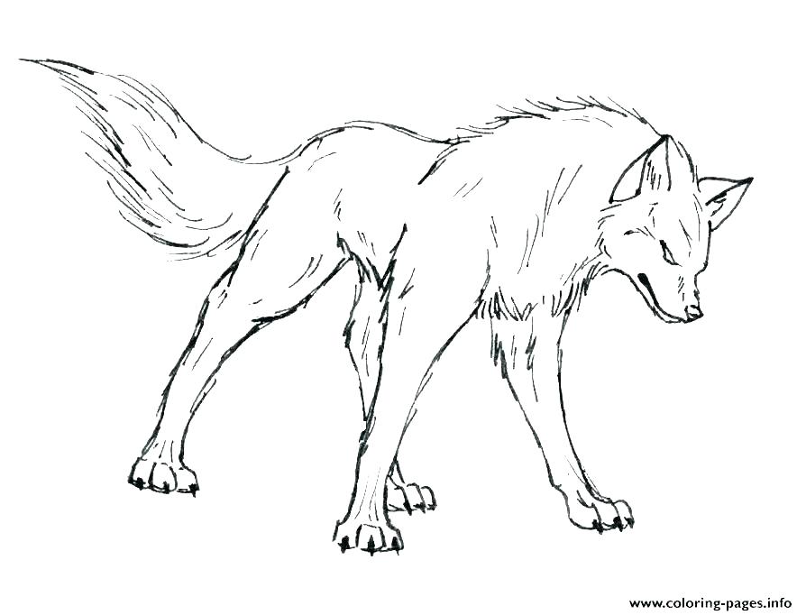 894x682 Wolf Pack Coloring Pages Anime Wolf Pack Coloring Pages Color