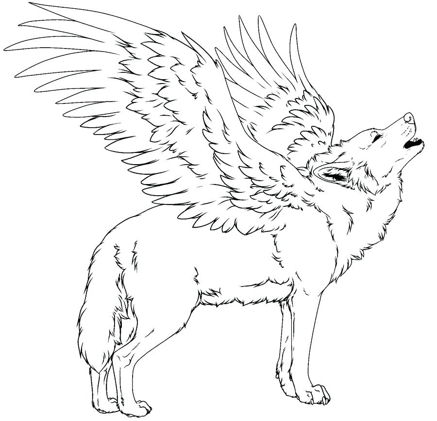 900x867 Wolf Color Pages Wolf Coloring Pages For Kids Wolf Coloring Pages