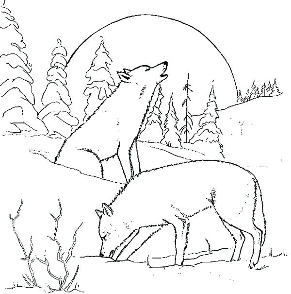 600x605 Wolf Coloring Pages Wolf Couple At Night Coloring Page Minecraft