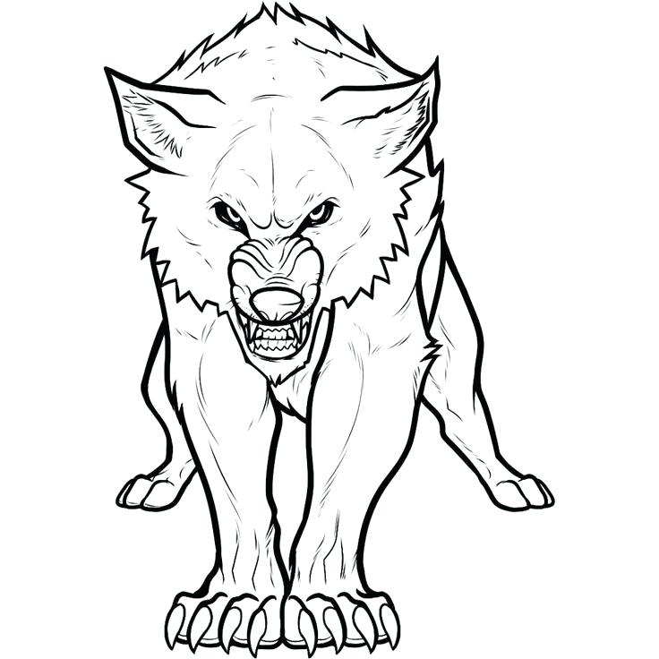 736x736 Wolf Coloring Pages Wolf Printable Coloring Pages Free Printable
