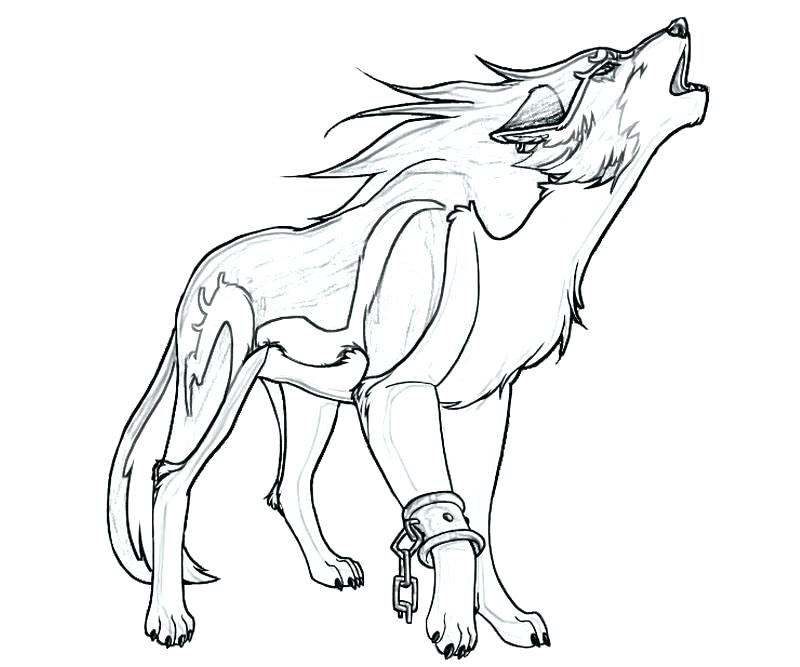 800x667 Free Wolf Printables Wolf Pup Coloring Pages Wolf Pup Coloring