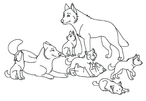 600x415 Great Charming Wolf Pup Coloring Pages Fee Free Printable For Kids