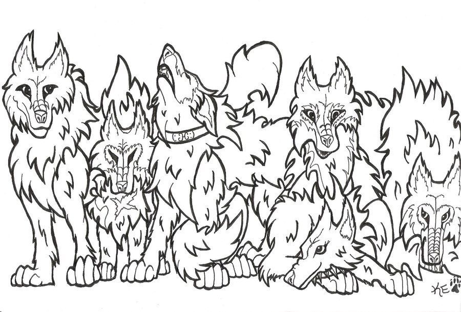 900x609 Wolf's Rain Pack Outline By Atrixwolfx On Art