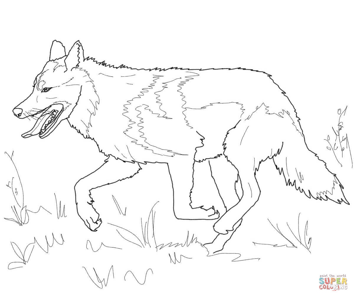 1200x1007 Wolf Coloring Pages Fresh Running Mexican Grey Wolf Coloring Page