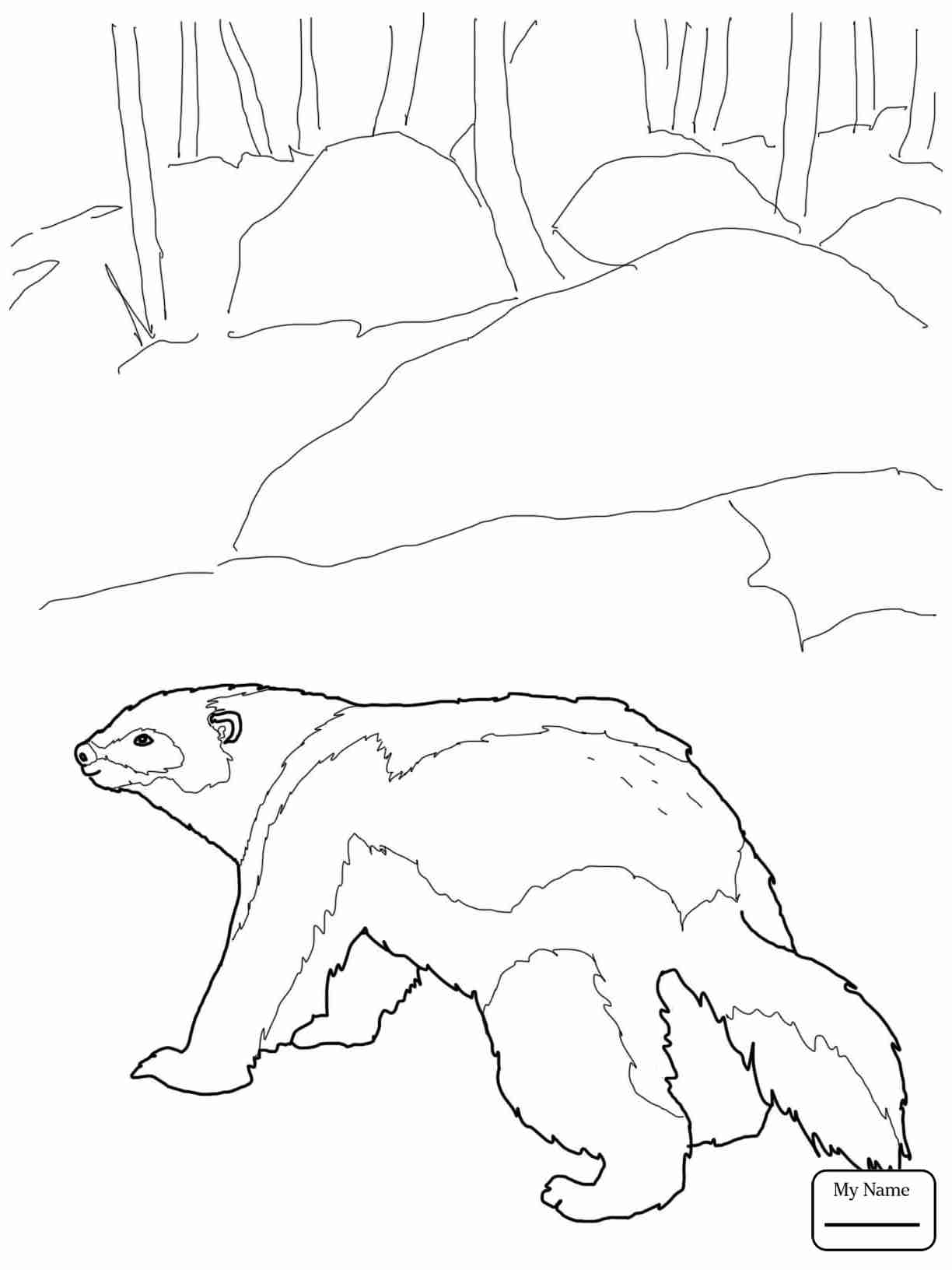 1224x1632 Wolverine Animal Coloring Pages Olegratiy