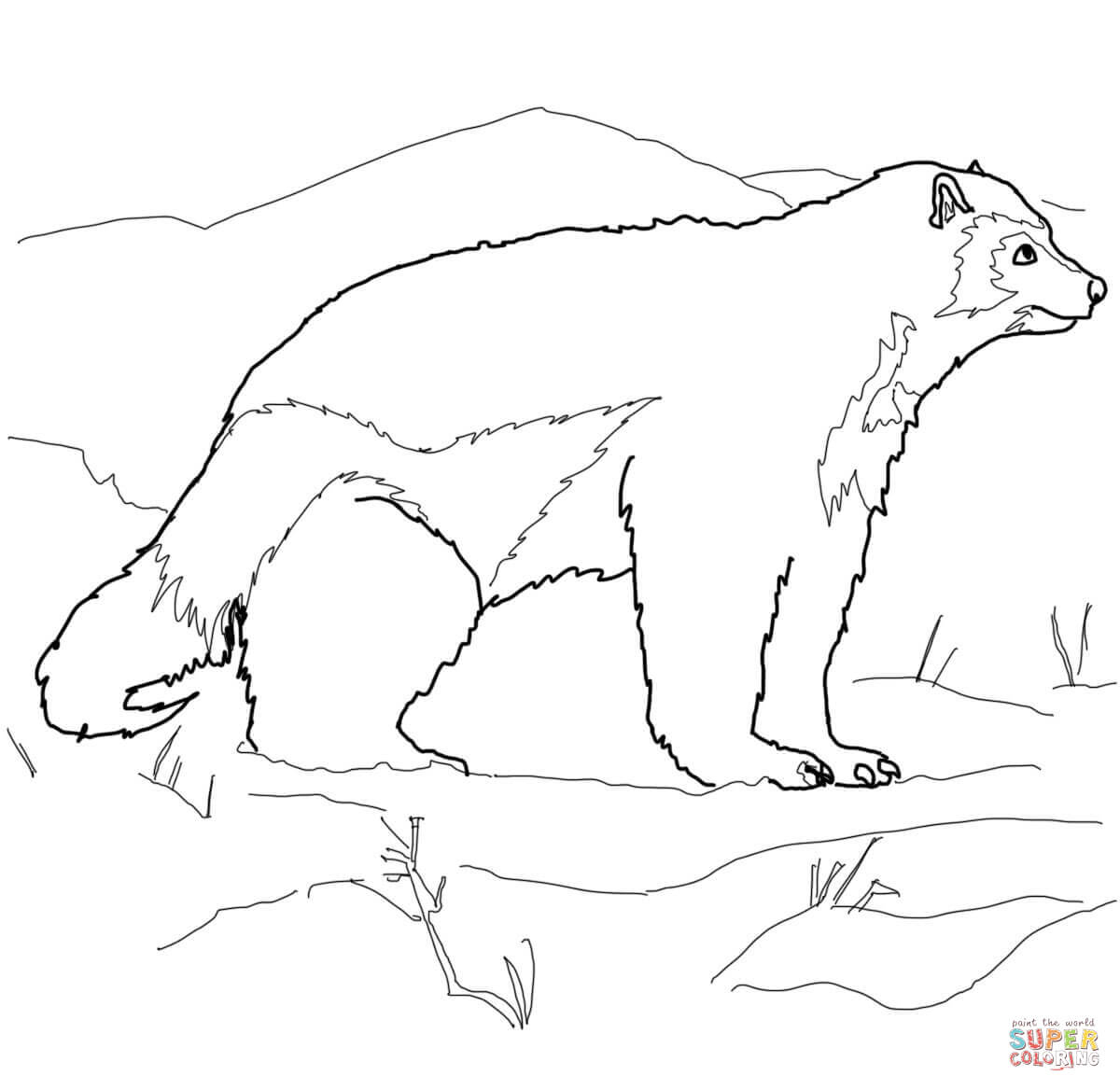 1200x1168 Wolverine Animal Drawing Arctic Wolverine Coloring Page Free