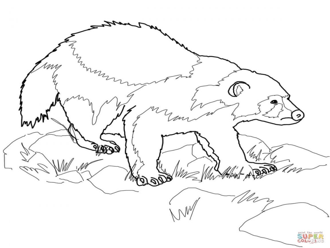1152x864 Shocking All Printables Coloring Page For Kids Parents
