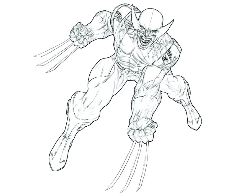 800x667 Wolverine Color Pages Cute Wolverine Coloring Pages Image