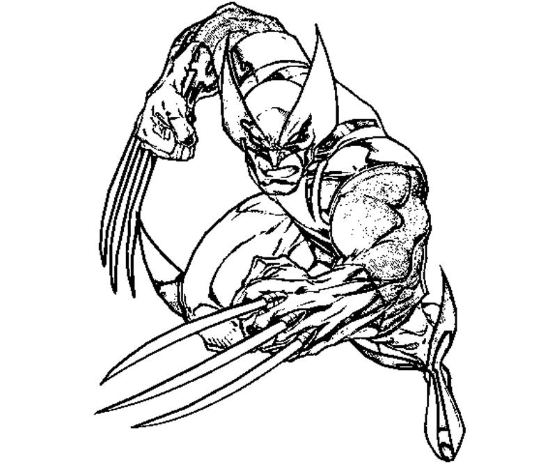800x667 Wolverine